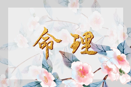 择吉老黄历 择吉老皇历 结婚择吉日